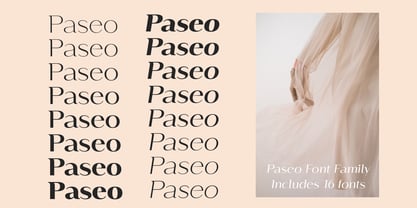 Paseo Font Poster 3