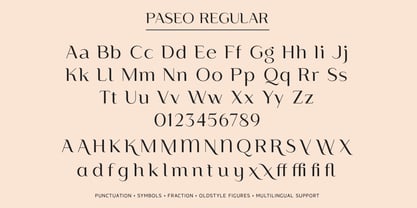 Paseo Font Poster 15