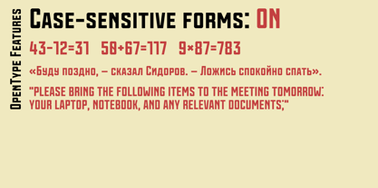 Vavilov Font Poster 8