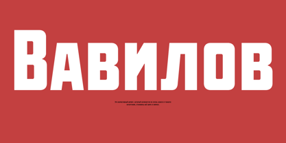 Vavilov Font Poster 7