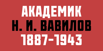 Vavilov Font Poster 9