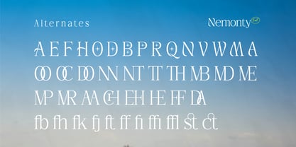 Nemonty Font Poster 6