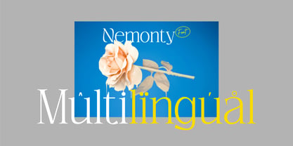 Nemonty Font Poster 9