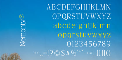 Nemonty Font Poster 8