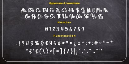 Desliya Font Poster 7