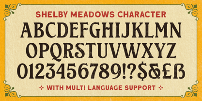 IC Shelby Meadows Font Poster 5