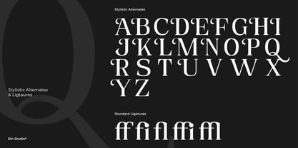 Valiny Font Poster 8