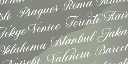 Barsela Calligraphy Font Poster 12