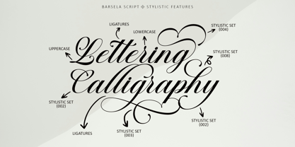 Barsela Calligraphy Font Poster 7