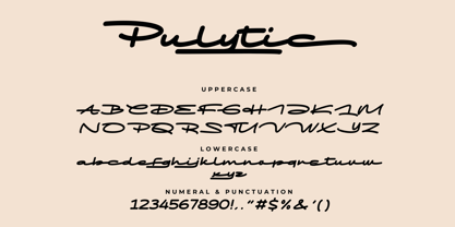 Pulytic Font Poster 13