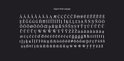 Baliths Serif Font Poster 15