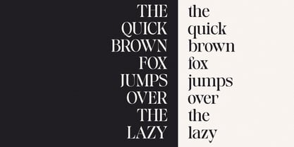 Baliths Serif Font Poster 14