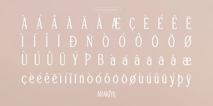 Arakiya Font Poster 14