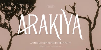 Arakiya Font Poster 1