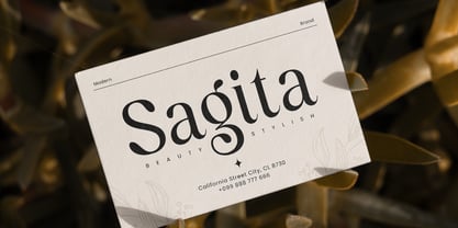 Oligera Font Poster 8