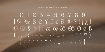 Oligera Font Poster 11