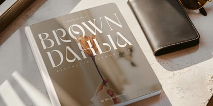 Oligera Font Poster 5