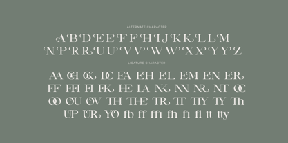 Misty Voguel Font Poster 6