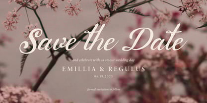 Calaris Deritta Font Poster 9