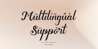 Calaris Deritta Font Poster 14