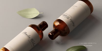 Calaris Deritta Font Poster 10