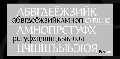 Baker Signet Font Poster 5