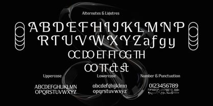 Rega Pira Font Poster 11