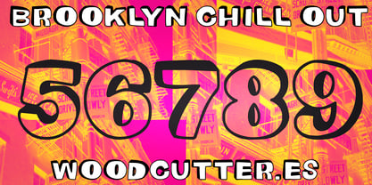 The Brooklyn Chill Out Police Poster 6