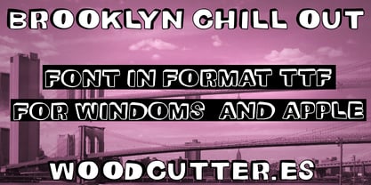 The Brooklyn Chill Out Police Poster 4