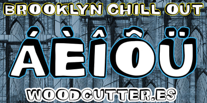 The Brooklyn Chill Out Police Affiche 2