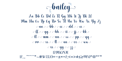 Bailey Font Poster 6
