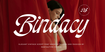 Bindacy Font Poster 1