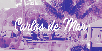 Palma Serena Font Poster 3