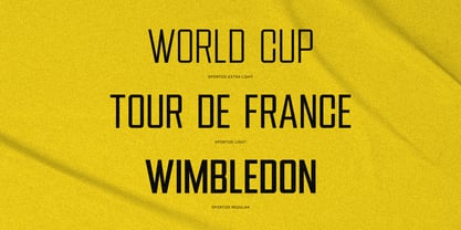 Sportize Font Poster 3