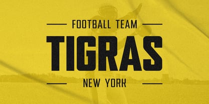 Sportize Font Poster 9