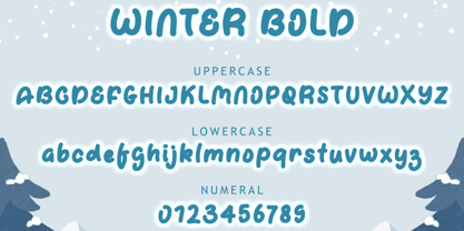 Winter Bold Font Poster 5