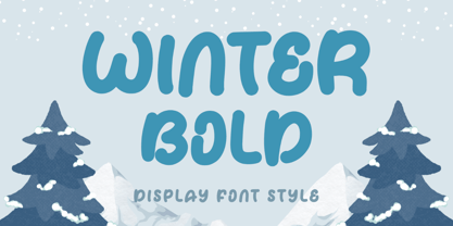Winter Bold Font Poster 1