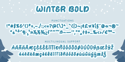 Winter Bold Font Poster 6