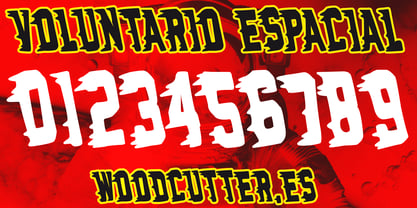 Voluntario Espacial Font Poster 6