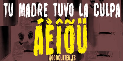 Tu Madre Tuvo La Culpa Font Poster 5
