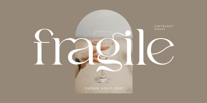 Zn Fragile Font Poster 15