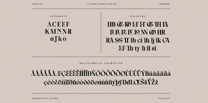 Casser Font Poster 15