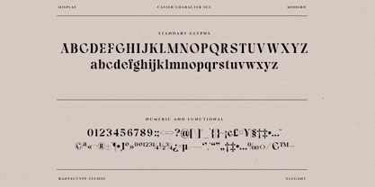 Casser Font Poster 14