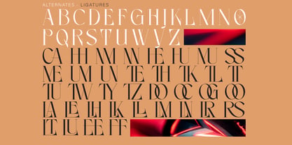 Noleum Display Font Poster 10