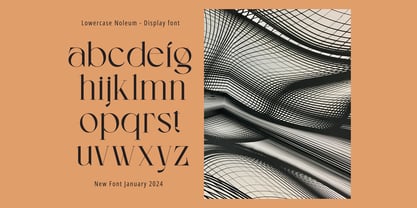 Noleum Display Font Poster 3