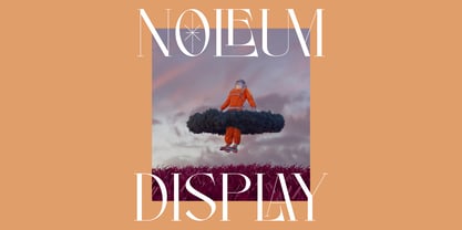 Noleum Display Font Poster 6