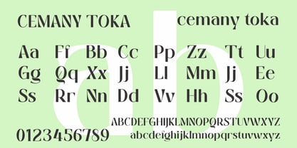 Cemany Toka Font Poster 7