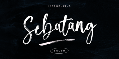 Sebatang Brush Font Poster 1