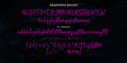 Sebatang Brush Font Poster 9