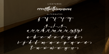 Reflonty Granttura Font Poster 8